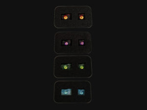 21 MYTH 龍眼